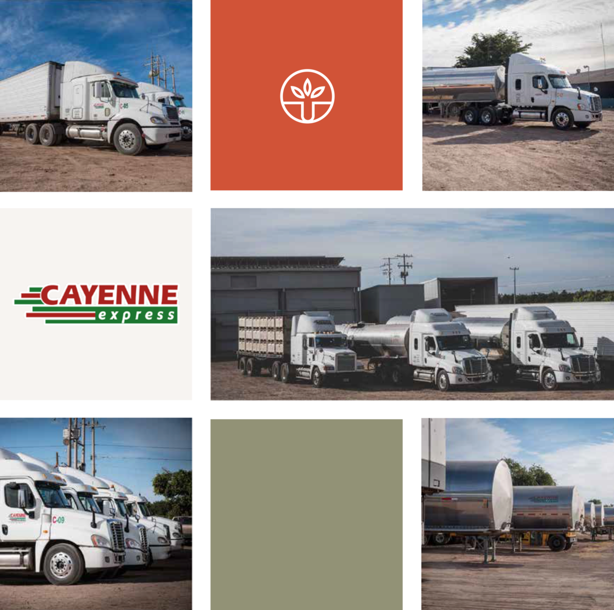 Cayenne Express Grupo PRB